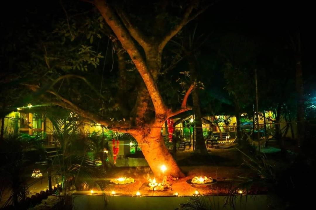 Patnem palm Garden Goa Hotell Patnem Beach Exteriör bild