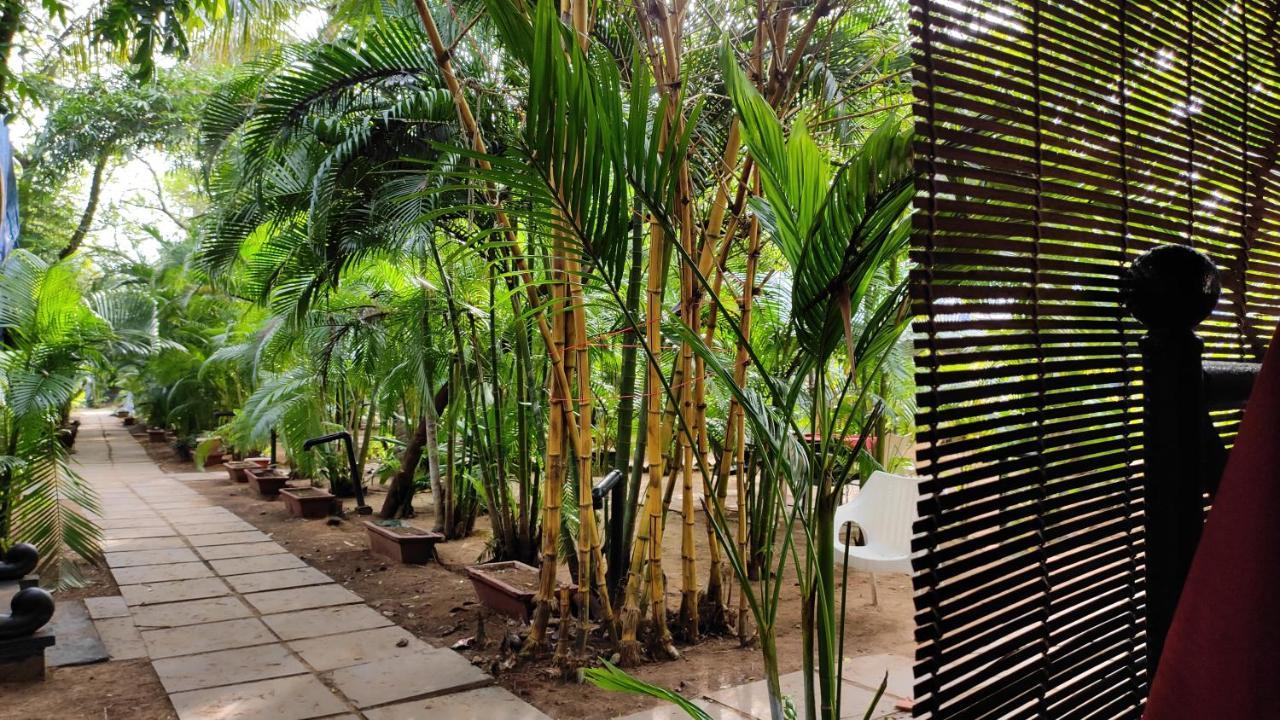 Patnem palm Garden Goa Hotell Patnem Beach Exteriör bild